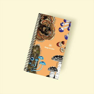 Planner Alargado de Tapa Dura – Checklist Diario con Ilustraciones de Mano Rústica (22x13 cm) - Diseño 5