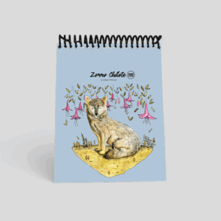 Libretas pequeñas – Tesoros para grandes ideas - Zorro Chilote