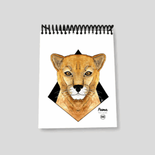Libretas pequeñas – Tesoros para grandes ideas - Puma