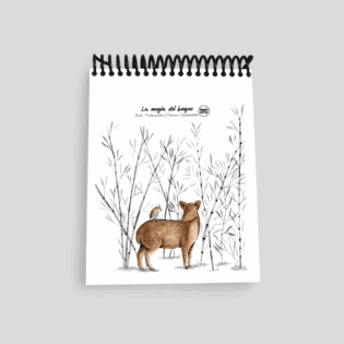 Libretas pequeñas – Tesoros para grandes ideas - La magia del bosque